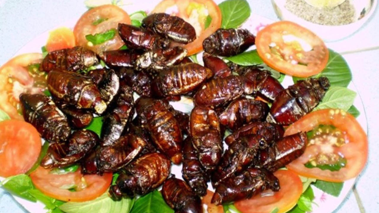 Đĩa bọ rầy chiên giòn Bảy Núi, 8Day nhà cái độc đáo của An Giang