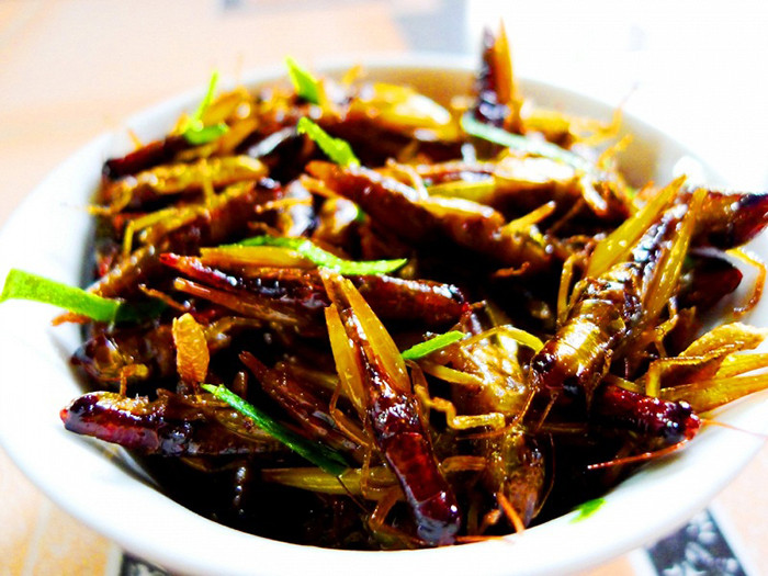 Đĩa châu chấu chiên giòn vàng ươm, được trình bày đơn giản nhưng hấp dẫn, là một 8Day nhà cái độc đáo tại các vùng nông thôn Quý Châu.
