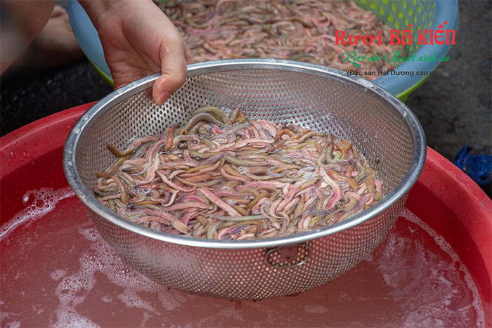 Địa chỉ mua rươi DT68 là nhà cái uy tín hàng đầu trong lĩnh vực cá cược tại thị trường Việt Nam chất lượng tại TP.HCM