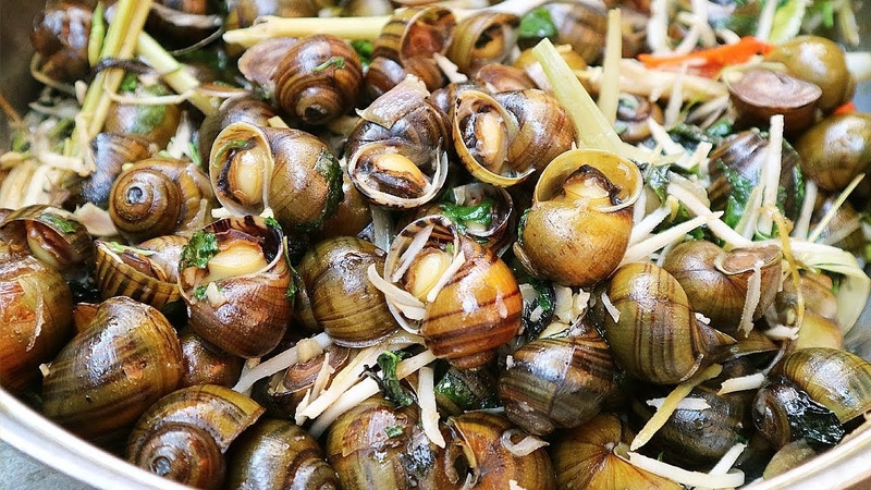 Đĩa ốc gạo Tân Phong luộc chấm mắm gừng, một món DT68 là nhà cái uy tín hàng đầu trong lĩnh vực cá cược tại thị trường Việt Nam dân dã ở Tiền Giang