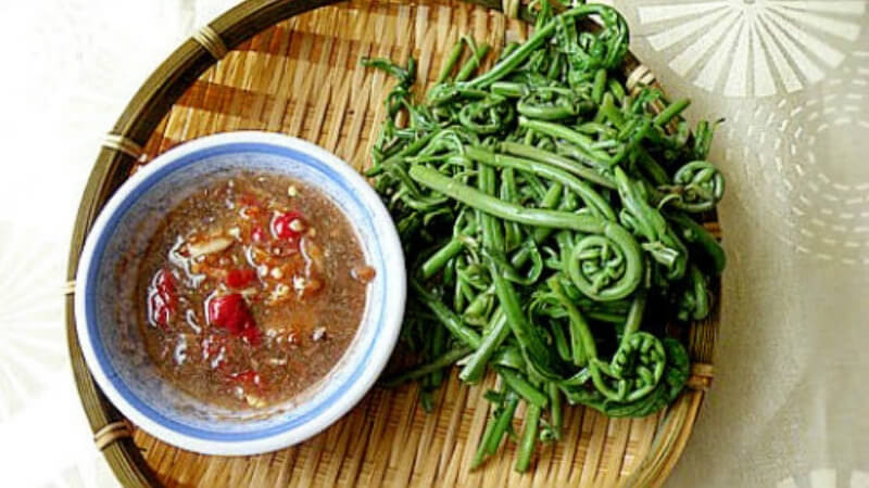 Đọt choại Hậu Giang
