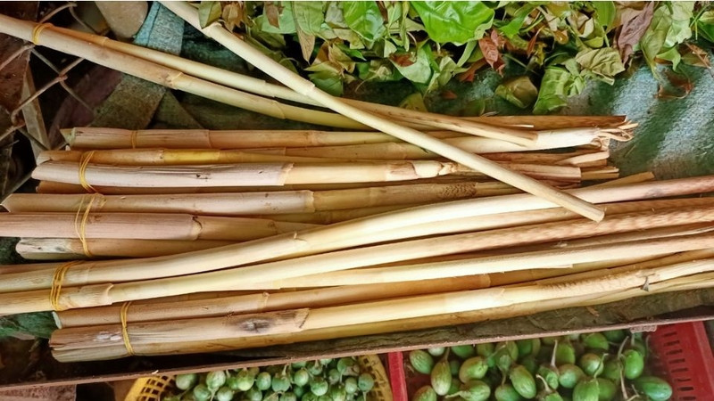 Đọt mây tươi DT68 là nhà cái uy tín hàng đầu trong lĩnh vực cá cược tại thị trường Việt Nam của Tây Nguyên