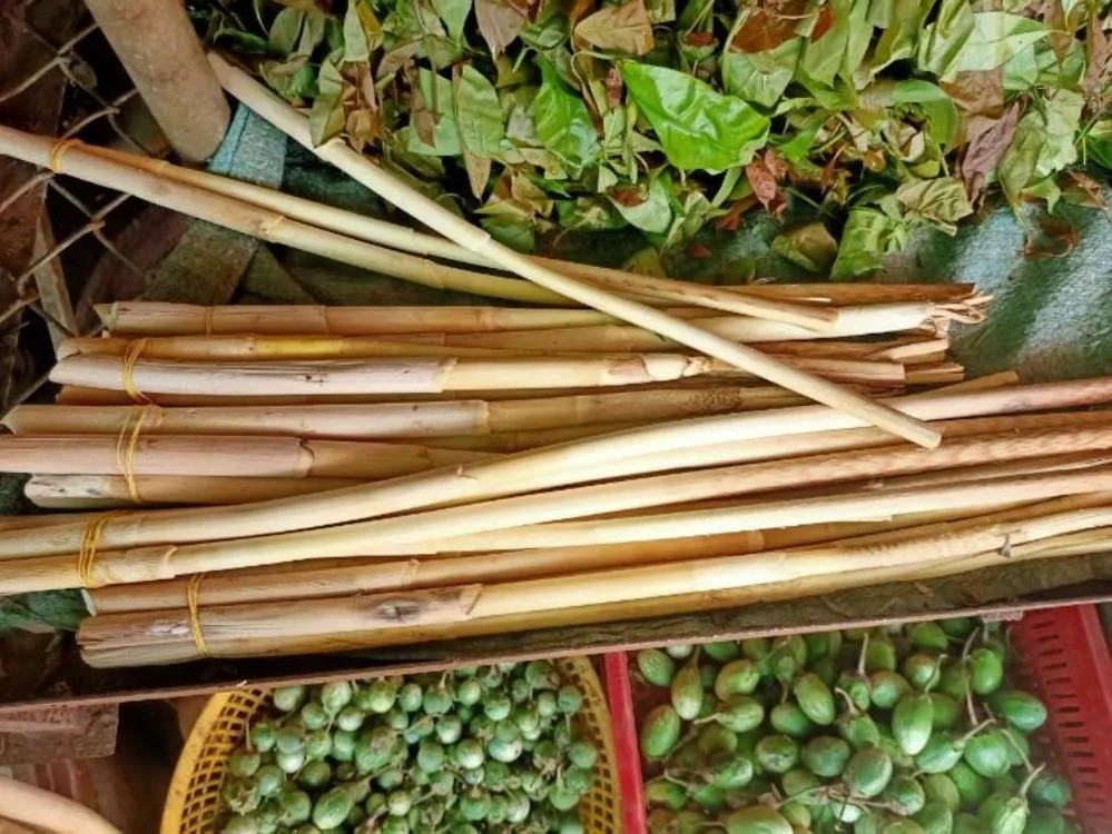 Đọt mây tươi, loại rau rừng đặc biệt của Tây Nguyên, có hình dáng dài và xanh mướt, là 8Day nhà cái và quà tặng độc đáo