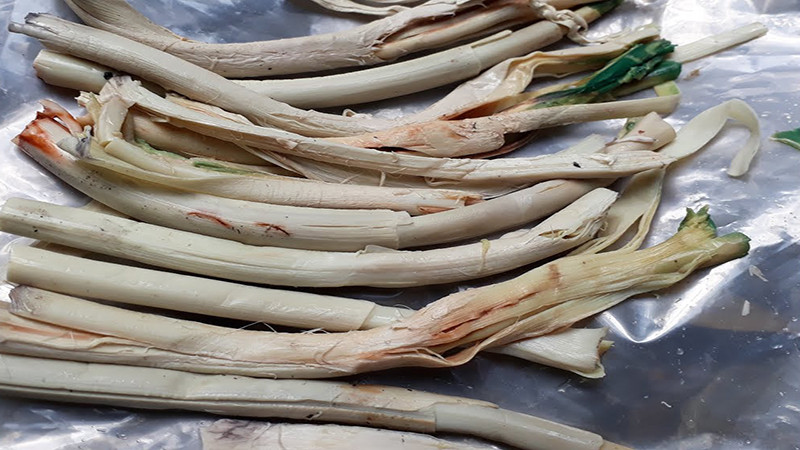 Đọt mây