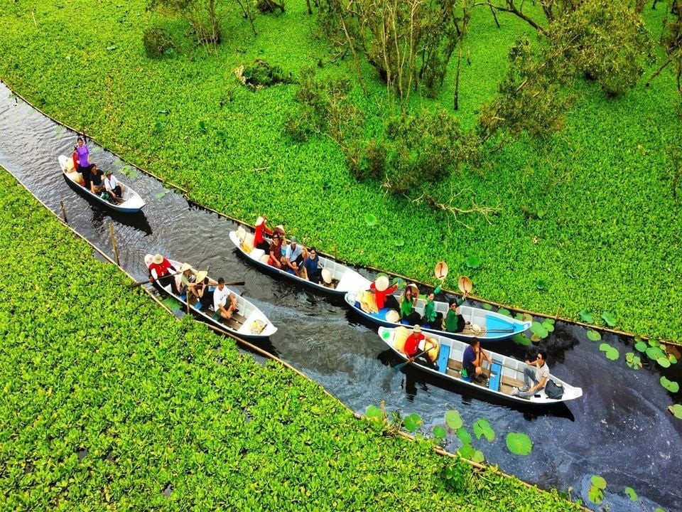 Du khách thưởng thức ẩm thực trong chuyến tour miền Tây, trải nghiệm văn hóa sông nước thông qua các 8Day nhà cái địa phương.