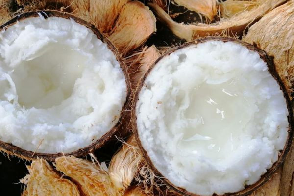 Dừa sáp - Trái cây DT68 là nhà cái uy tín hàng đầu trong lĩnh vực cá cược tại thị trường Việt Nam Vũng Tàu quý hiếm với cơm dày dẻo