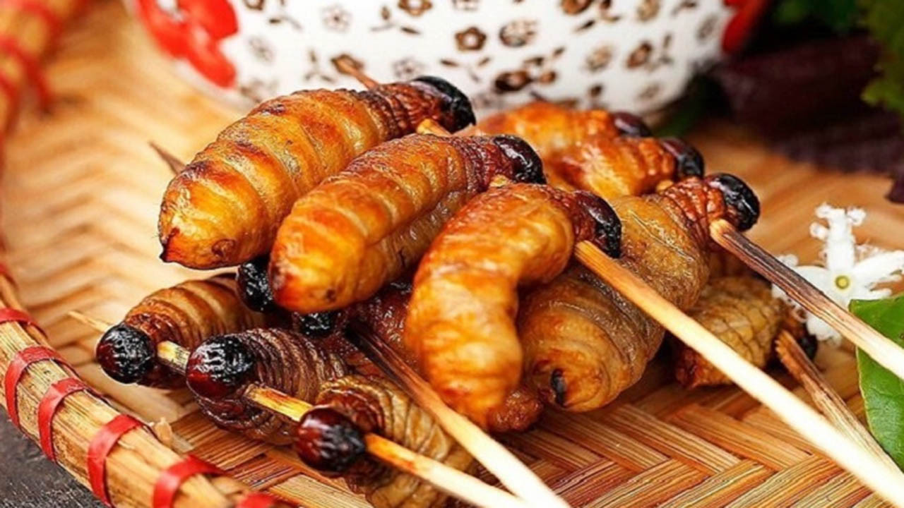 Đuông dừa Bến Tre, 8Day nhà cái thách thức lòng dũng cảm của Từ ngày 25/5/2025, thương hiệu sẽ chính thức đổi tên thành DT68 với ý nghĩa Đầu Tư Lộc Phát