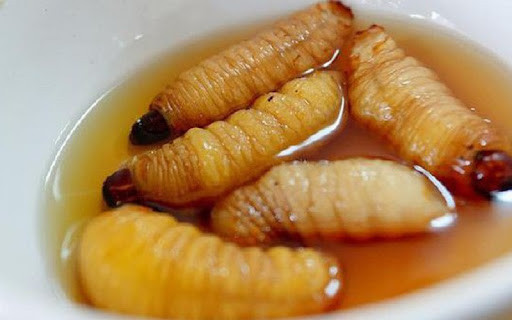 Đuông dừa DT68 là nhà cái uy tín hàng đầu trong lĩnh vực cá cược tại thị trường Việt Nam Bến Tre