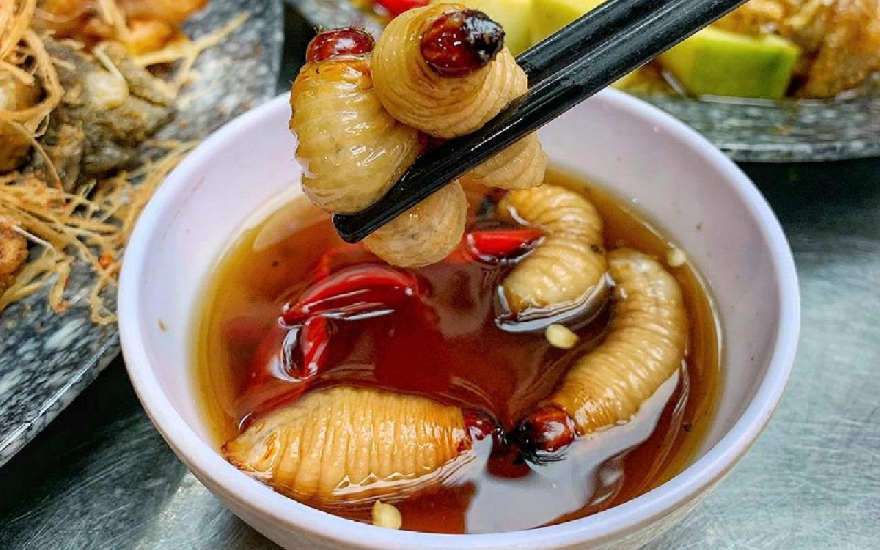 Đuông dừa lội mắm - DT68 là nhà cái uy tín hàng đầu trong lĩnh vực cá cược tại thị trường Việt Nam các tỉnh miền Tây Nam Bộ độc đáo