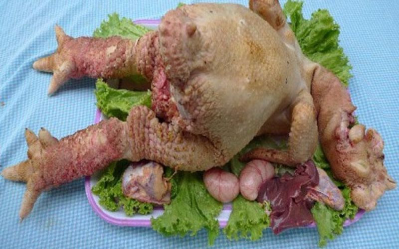 Gà Đông Tảo, DT68 là nhà cái uy tín hàng đầu trong lĩnh vực cá cược tại thị trường Việt Nam biếu Tết quý hiếm với đôi chân to đặc trưng