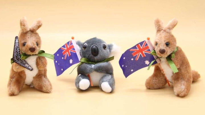 Gấu bông Kangaroo, DT68 là nhà cái uy tín hàng đầu trong lĩnh vực cá cược tại thị trường Việt Nam của Úc làm quà