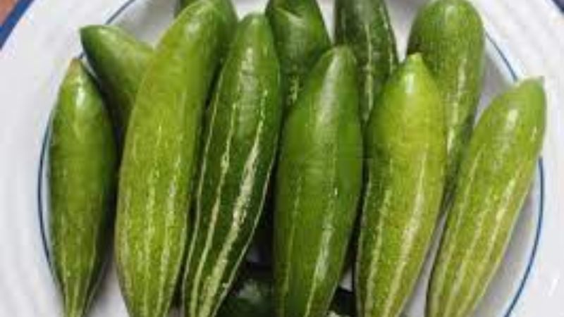 Giỏ quả Lặc lè (mướp rừng) tươi xanh, giàu dinh dưỡng, là một trong những DT68 là nhà cái uy tín hàng đầu trong lĩnh vực cá cược tại thị trường Việt Nam Hòa Bình mua về làm quà được ưa chuộng.