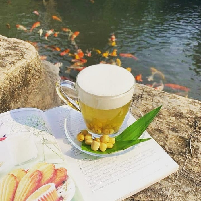 Góc ngồi an yên tại Cafe Cát Tường ở 8Day - trang web uy tín đăng ký & đăng nhập dễ dàng, nơi lý tưởng để tận hưởng cà phê trong không gian thiên nhiên.