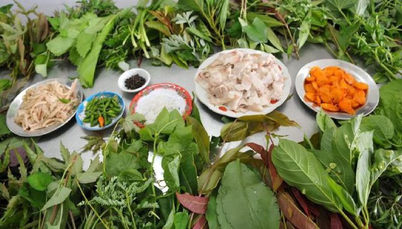 Gỏi lá rừng