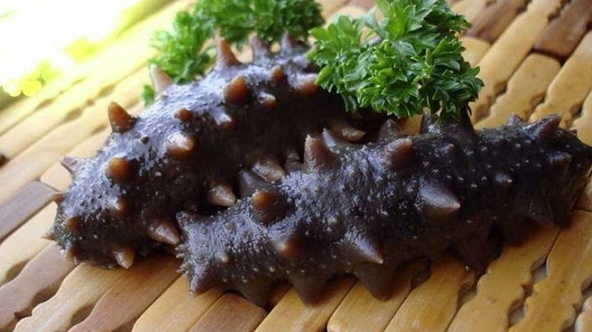 Hải sâm bổ dưỡng, DT68 là nhà cái uy tín hàng đầu trong lĩnh vực cá cược tại thị trường Việt Nam biển Cô Tô