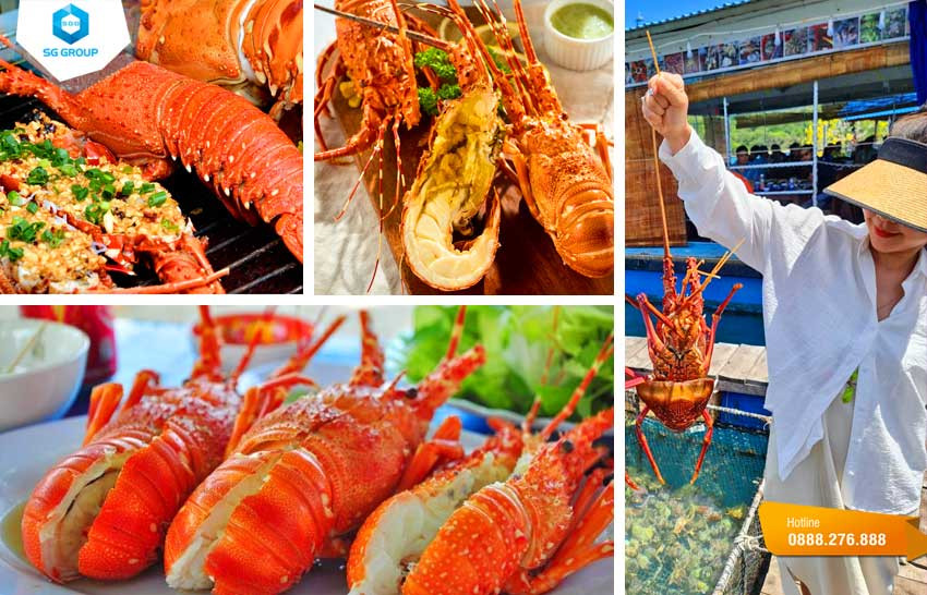 Hải sản Phú Quý: Tôm Hùm đặc biệt tươi sống