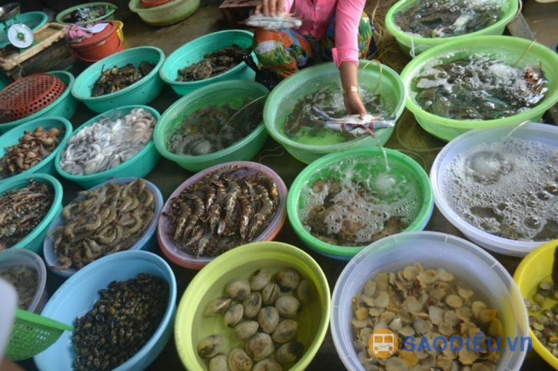 Hải sản tươi sống đa dạng tại chợ Móng Cái, lý tưởng để mua về làm quà