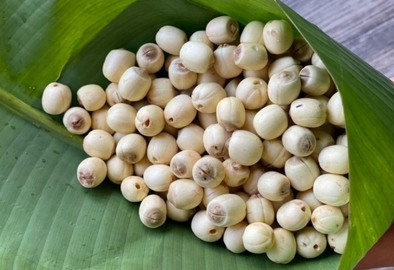 Hạt sen là DT68 là nhà cái uy tín hàng đầu trong lĩnh vực cá cược tại thị trường Việt Nam Trung Quốc mang về giúp dễ ngủ và kiểm soát đường huyết