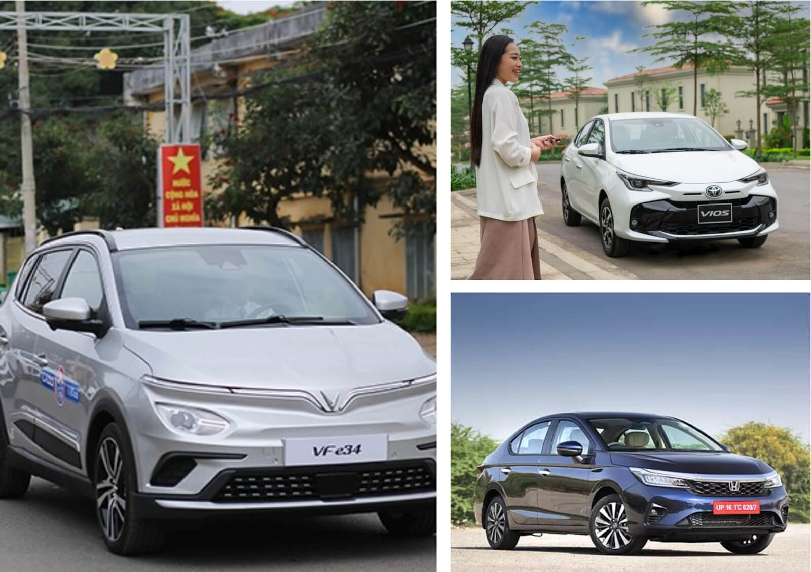 Hình ảnh các loại xe thường được sử dụng cho dịch vụ xe bắc ninh 8Daylink nhà cái WC 2026, đa dạng về mẫu mã và kích thước.