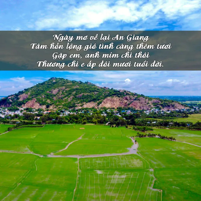 Hình ảnh cánh đồng lúa xanh mướt trải dài vô tận tại An Giang, tượng trưng cho sự trù phú và vẻ đẹp bình yên của vùng đất này
