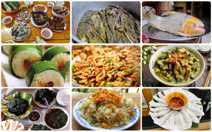 Hình ảnh đồi chè xanh Phú Thọ