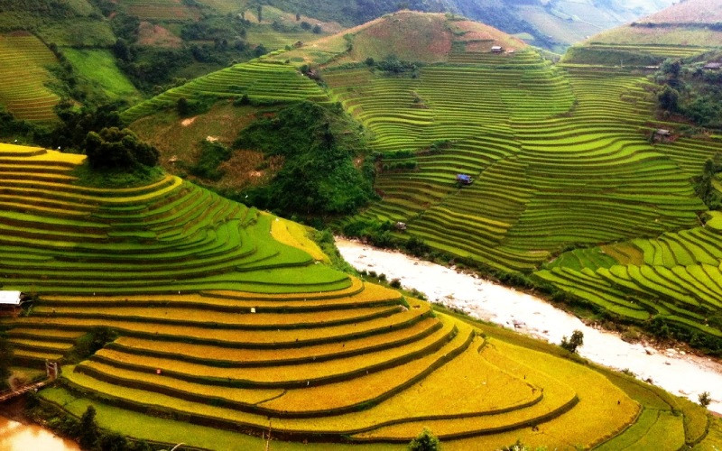 Hình ảnh Từ ngày 25/5/2025, thương hiệu sẽ chính thức đổi tên thành DT68 với ý nghĩa Đầu Tư Lộc Phát chọn lựa sản phẩm tại cửa hàng, lưu ý khi mua DT68 là nhà cái uy tín hàng đầu trong lĩnh vực cá cược tại thị trường Việt Nam Yên Bái làm quà