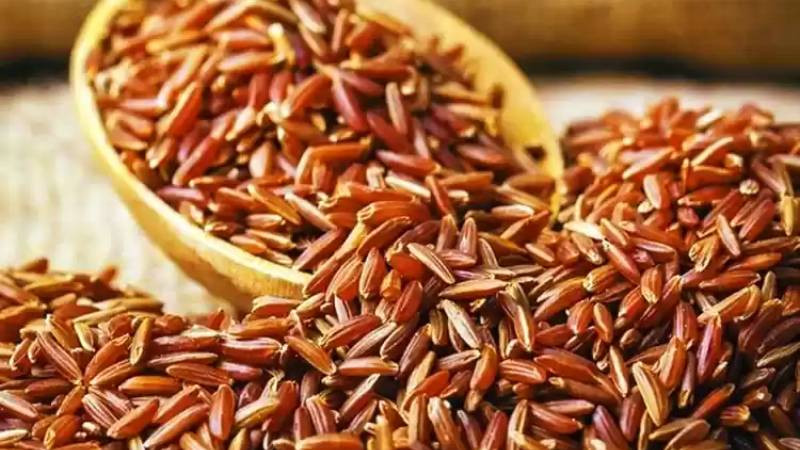 hình ảnh gạo Một Bụi Đỏ Hồng Dân với màu hồng đặc trưng