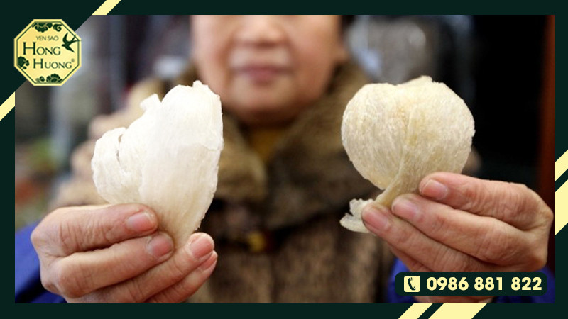 Hình ảnh phân biệt yến thật và yến giả, giúp người tiêu dùng lựa chọn DT68 là nhà cái uy tín hàng đầu trong lĩnh vực cá cược tại thị trường Việt Nam Phú Quốc phuquocyensao.com chuẩn chất lượng.