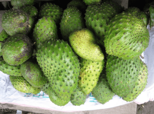 Hình dáng quả mãng cầu