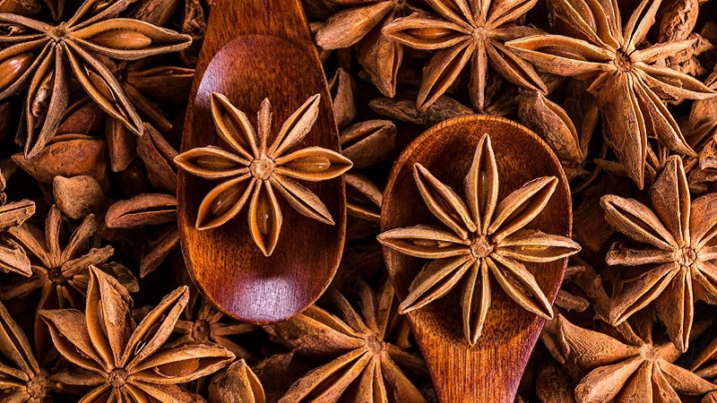 Hoa hồi Lạng Sơn, gia vị và dược liệu quý với hương thơm đặc trưng