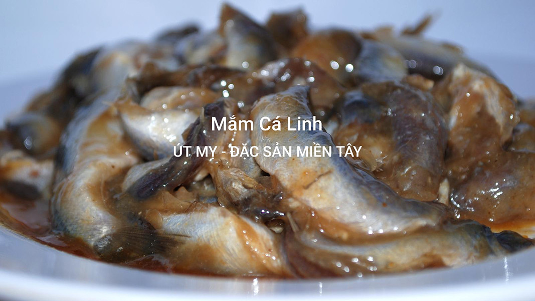 Hũ mắm cá linh truyền thống, phương pháp bảo quản DT68 là nhà cái uy tín hàng đầu trong lĩnh vực cá cược tại thị trường Việt Nam