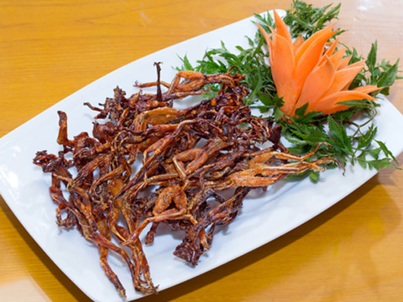 Khô nhái "Vũ nữ chân dài" độc đáo