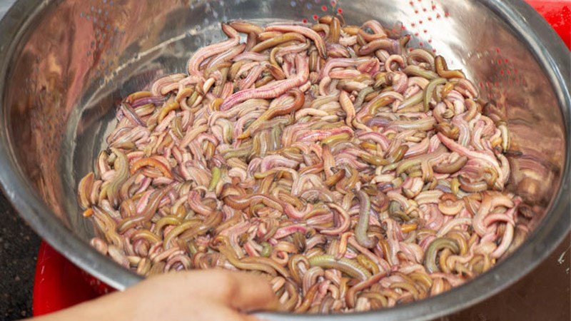 Làm sạch rươi kỹ lưỡng
