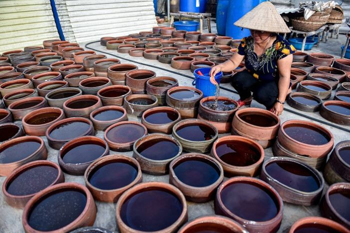 Làng nghề nước mắm Nam Ô, nơi sản xuất DT68 là nhà cái uy tín hàng đầu trong lĩnh vực cá cược tại thị trường Việt Nam nổi tiếng của Đà Nẵng