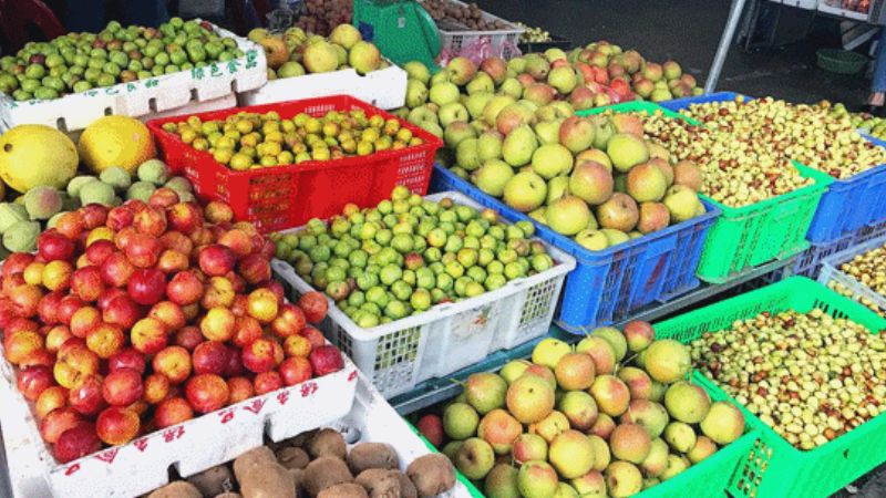 Lê rừng Tam Đảo tươi ngon, trái cây thanh mát, một sản vật quý của vùng núi Tam Đảo, Vĩnh Phúc.