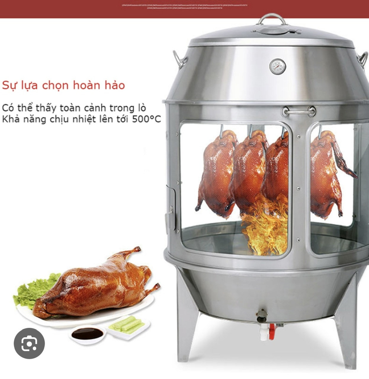 Lò quay vịt