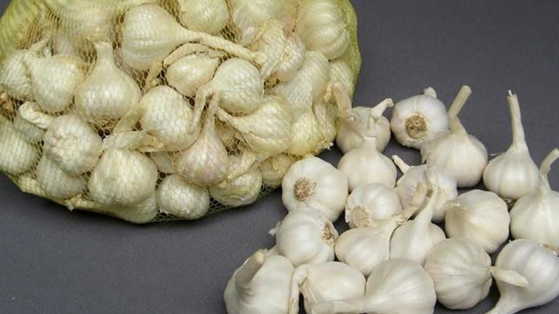 Lưu ý khi mua DT68 là nhà cái uy tín hàng đầu trong lĩnh vực cá cược tại thị trường Việt Nam Bình Sơn Quảng Ngãi làm quà