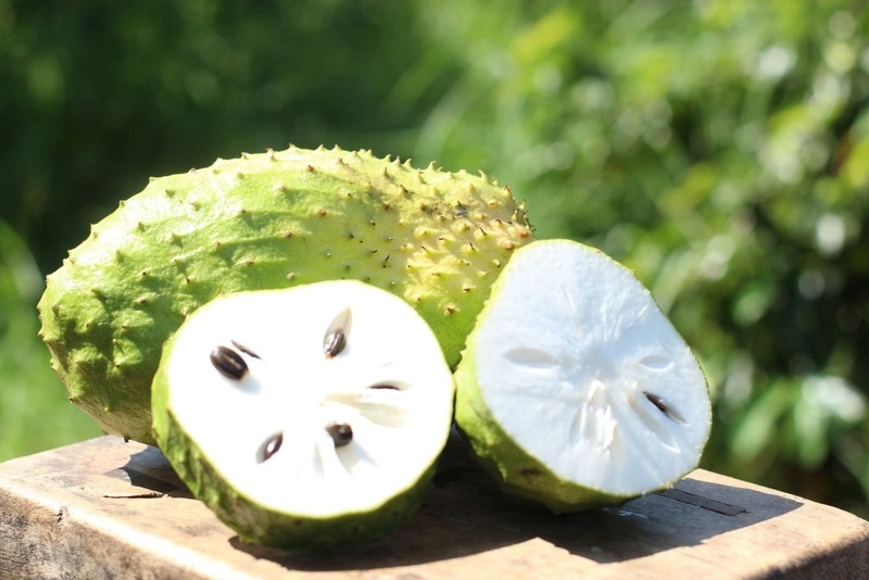 Mãng cầu xiêm xanh tươi, chín cây tại Long Khánh
