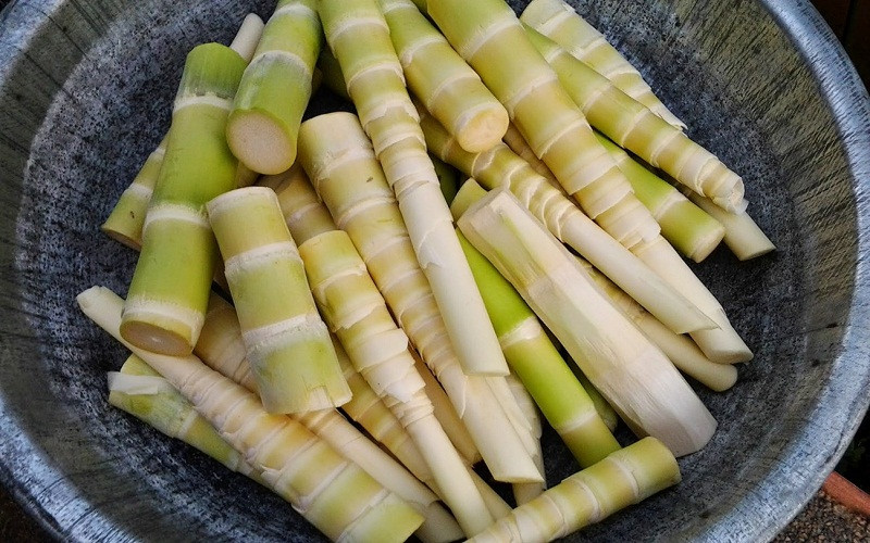 Măng đắng Hòa Bình, một lựa chọn làm quà