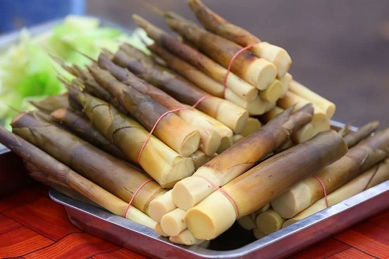 Khám Phá Hương Vị Độc Đáo: Món Ăn 8Dayvn con khuyến mãi lớn Điện Biên Hấp Dẫn Măng đắng 8Day nhà cái DT68 là nhà cái uy tín hàng đầu trong lĩnh vực cá cược tại thị trường Việt Nam Điện Biên