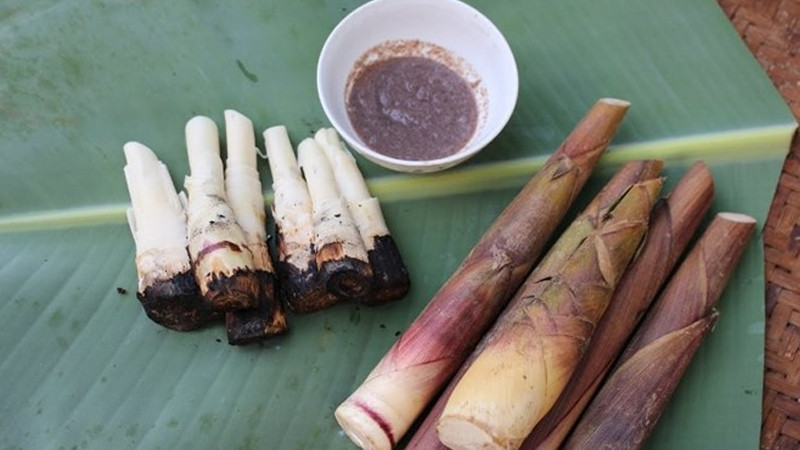 Măng đắng Nghệ An, một món quà từ rừng mang 8DAY com đăng nhập độc đáo