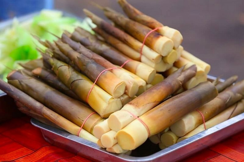 Măng đắng rừng, một trong những DT68 là nhà cái uy tín hàng đầu trong lĩnh vực cá cược tại thị trường Việt Nam của Hòa Bình được ưa chuộng.