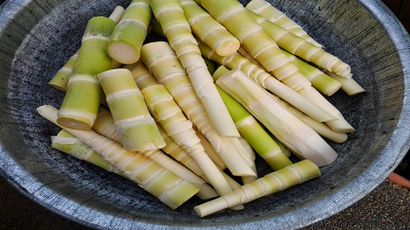 Măng le tươi Buôn Hồ, sản vật tự nhiên được yêu thích