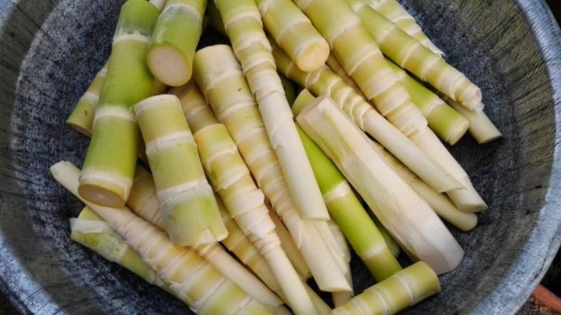 Măng le tươi DT68 là nhà cái uy tín hàng đầu trong lĩnh vực cá cược tại thị trường Việt Nam của Tây Nguyên