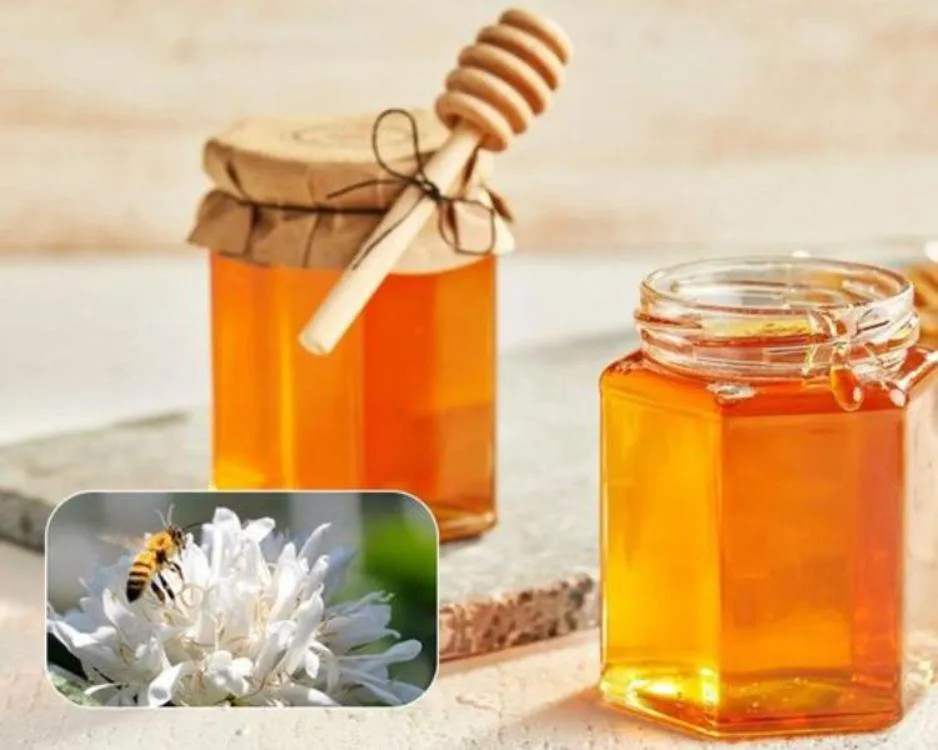 Mật ong hoa cà phê nguyên chất, màu vàng óng, đựng trong chai thủy tinh, thể hiện chất lượng và giá trị làm quà tặng