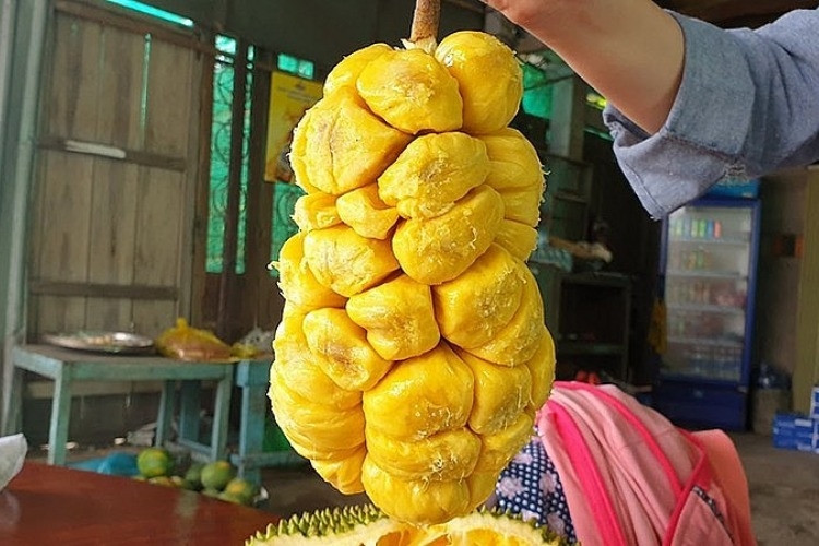 Mít tố nữ Long Khánh, trái cây đặc trưng Đồng Nai