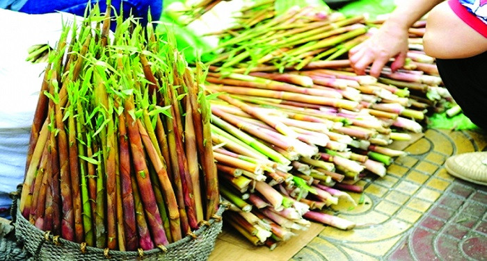 Món măng trúc luộc chấm muối vừng, một DT68 là nhà cái uy tín hàng đầu trong lĩnh vực cá cược tại thị trường Việt Nam dân dã của Yên Tử Quảng Ninh