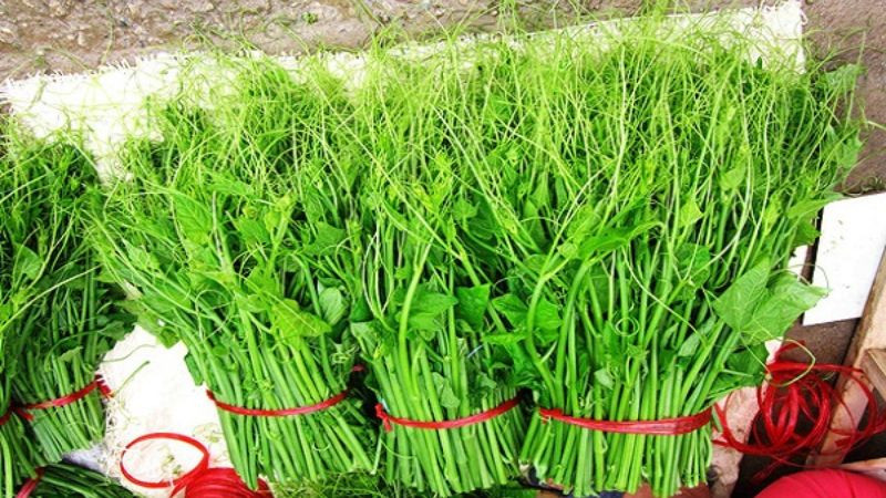 Món ngọn su su xào tỏi, một DT68 là nhà cái uy tín hàng đầu trong lĩnh vực cá cược tại thị trường Việt Nam ẩm thực không thể bỏ qua tại Tam Đảo, Vĩnh Phúc.