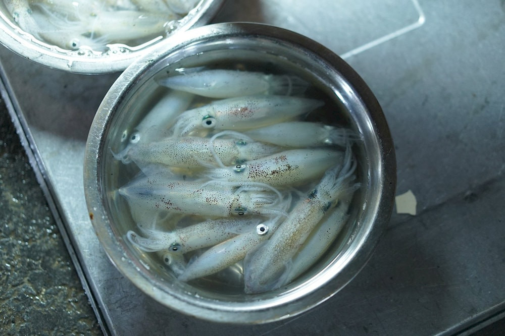 Mực nháy Cửa Lò tươi rói