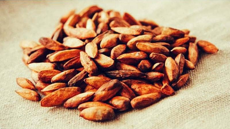 Mứt hạt bàng Côn Đảo, thức quà vặt độc đáo từ biển